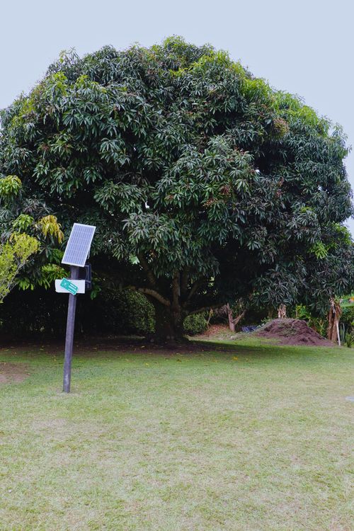 Finca en venta en Combia, Pereira, 590 m² · foto 15 de 24