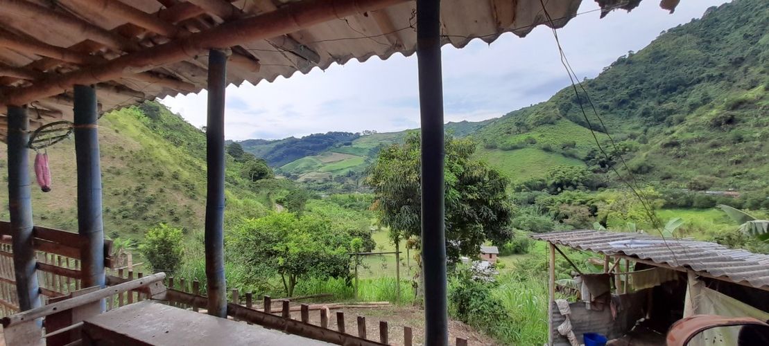 Finca en venta en Los Nogales, Manizales, 52 m² · foto 5 de 19