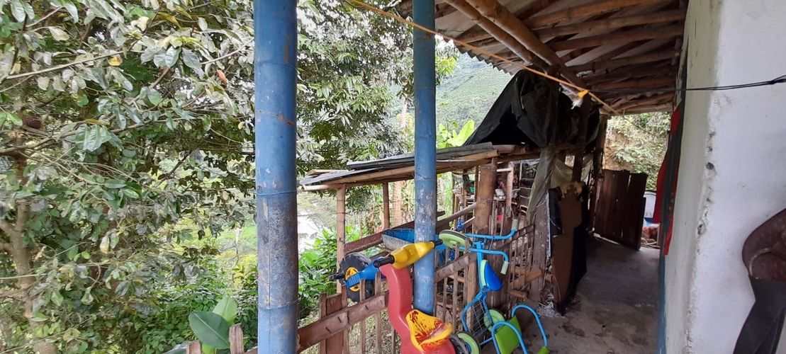 Finca en venta en Los Nogales, Manizales, 52 m² · foto 6 de 19