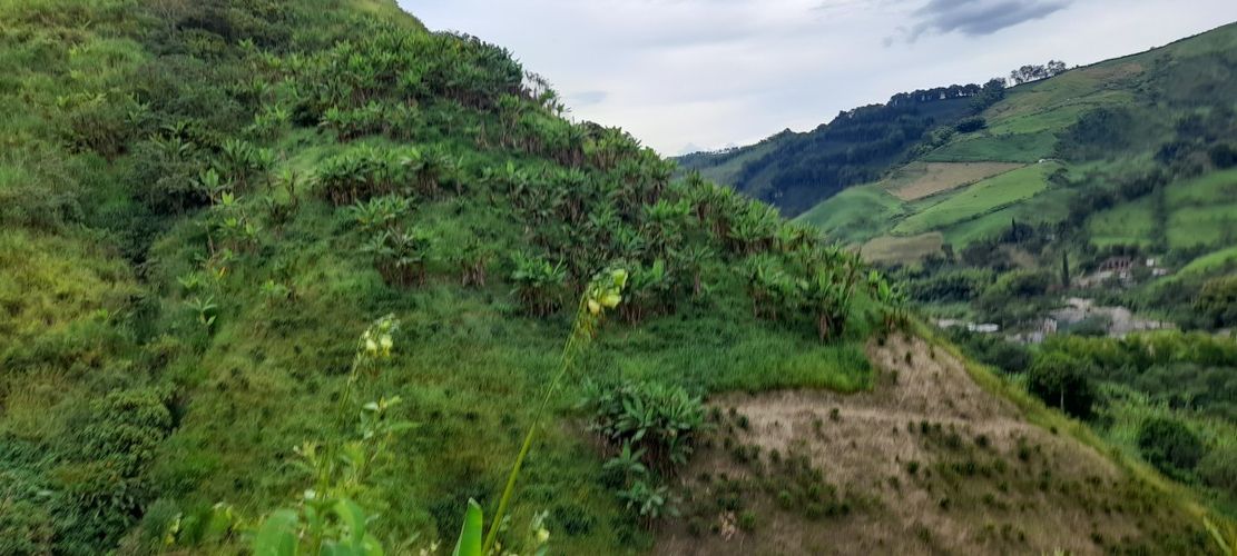Finca en venta en Los Nogales, Manizales, 52 m² · foto 7 de 19