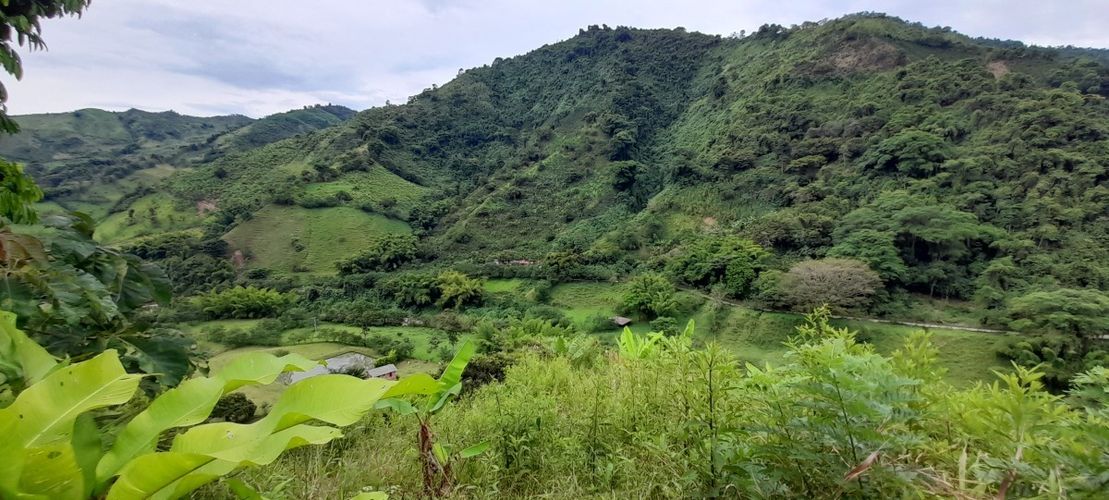 Finca en venta en Los Nogales, Manizales, 52 m² · foto 8 de 19