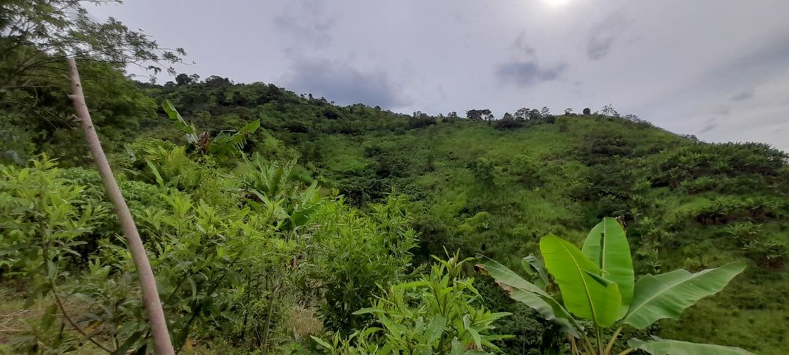 Finca en venta en Los Nogales, Manizales, 52 m² · foto 9 de 19