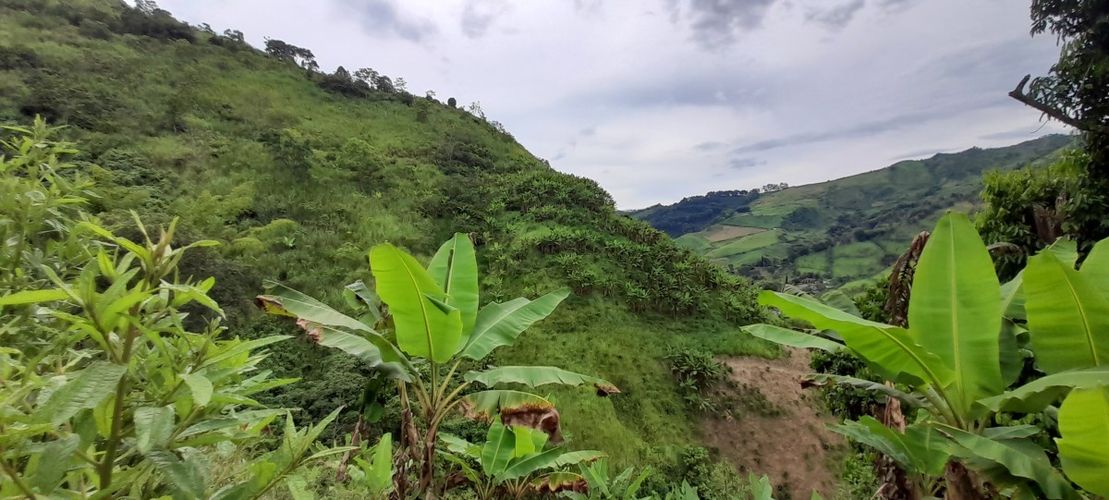 Finca en venta en Los Nogales, Manizales, 52 m² · foto 10 de 19