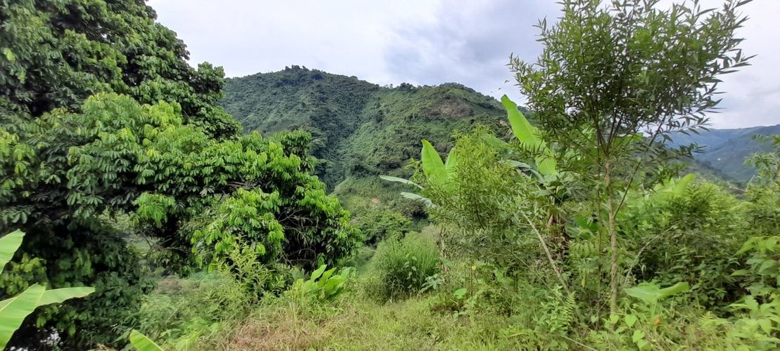 Finca en venta en Los Nogales, Manizales, 52 m² · foto 11 de 19