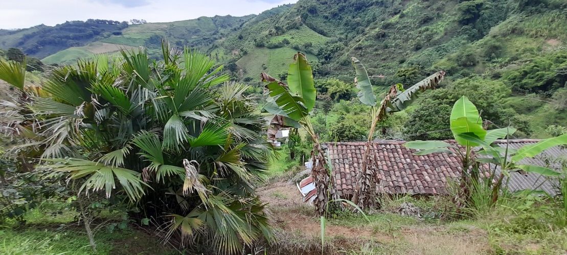 Finca en venta en Los Nogales, Manizales, 52 m² · foto 14 de 19
