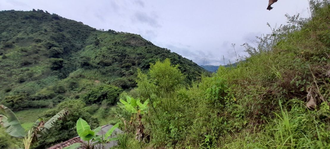 Finca en venta en Los Nogales, Manizales, 52 m² · foto 15 de 19