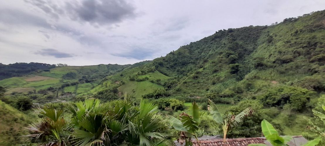 Finca en venta en Los Nogales, Manizales, 52 m² · foto 16 de 19