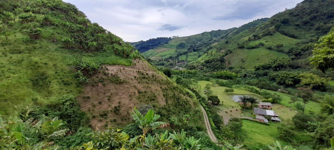 Finca en venta en Los Nogales, Manizales, 52 m² · foto 17 de 19