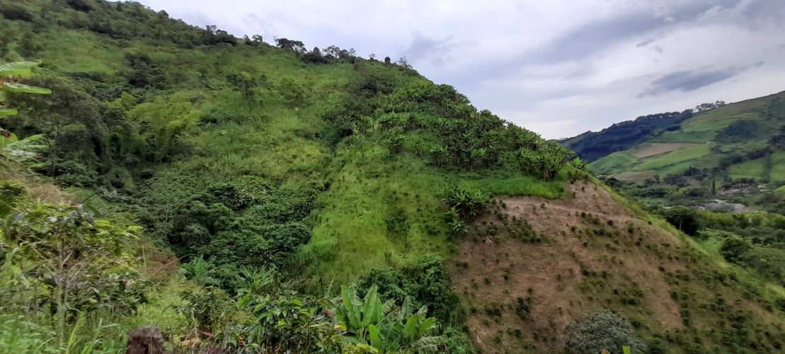 Finca en venta en Los Nogales, Manizales, 52 m² · foto 18 de 19