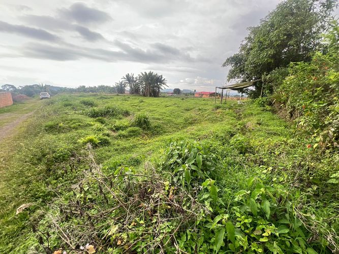Lote en venta en Sector Plaza De Bolivar, Pereira, 1500 m² · foto 2 de 3