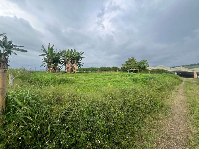 Lote en venta en Sector Plaza De Bolivar, Pereira, 1500 m² · foto 3 de 3