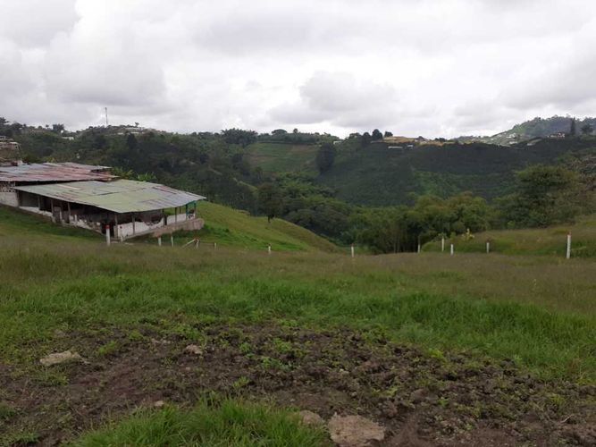 Finca en venta en Tribunas Corcega, Pereira, 500 m² · foto 4 de 24