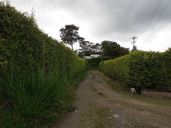 Finca en venta en Tribunas Corcega, Pereira, 500 m² · foto 5 de 24