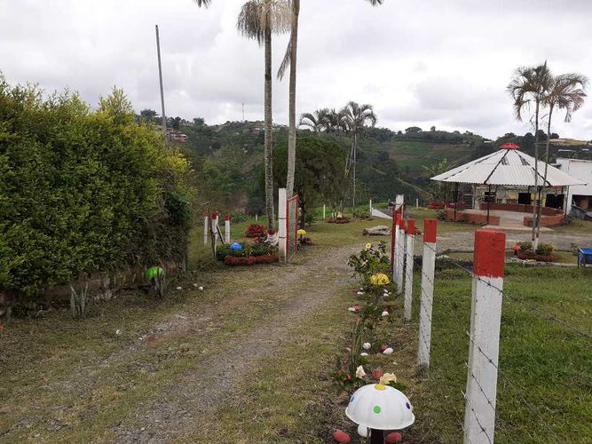 Finca en venta en Tribunas Corcega, Pereira, 500 m² · foto 6 de 24