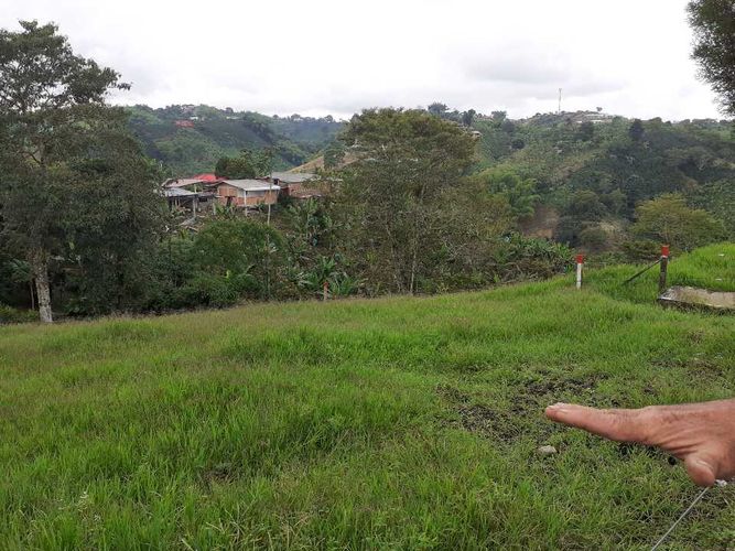 Finca en venta en Tribunas Corcega, Pereira, 500 m² · foto 9 de 24