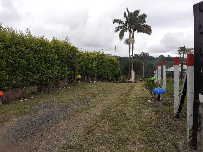 Finca en venta en Tribunas Corcega, Pereira, 500 m² · foto 10 de 24