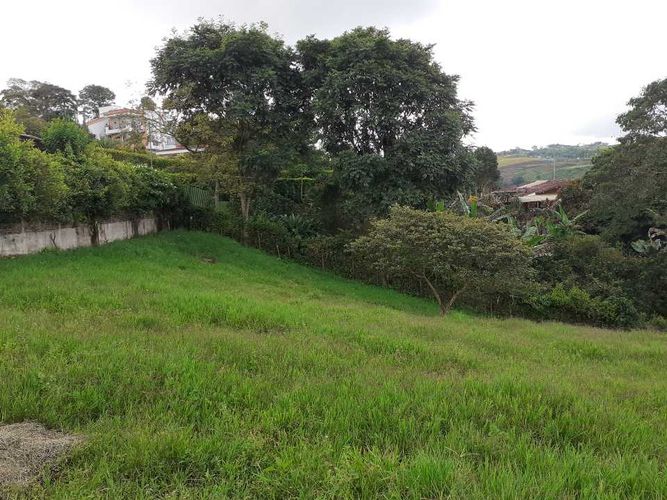 Finca en venta en Tribunas Corcega, Pereira, 500 m² · foto 11 de 24
