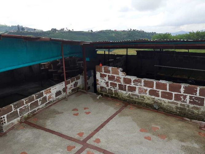 Finca en venta en Tribunas Corcega, Pereira, 500 m² · foto 13 de 24