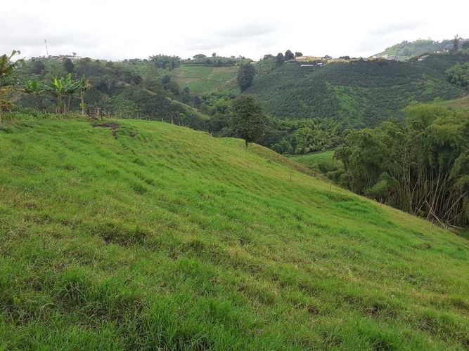 Finca en venta en Tribunas Corcega, Pereira, 500 m² · foto 15 de 24