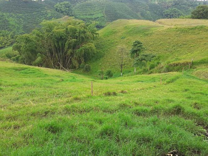 Finca en venta en Tribunas Corcega, Pereira, 500 m² · foto 16 de 24
