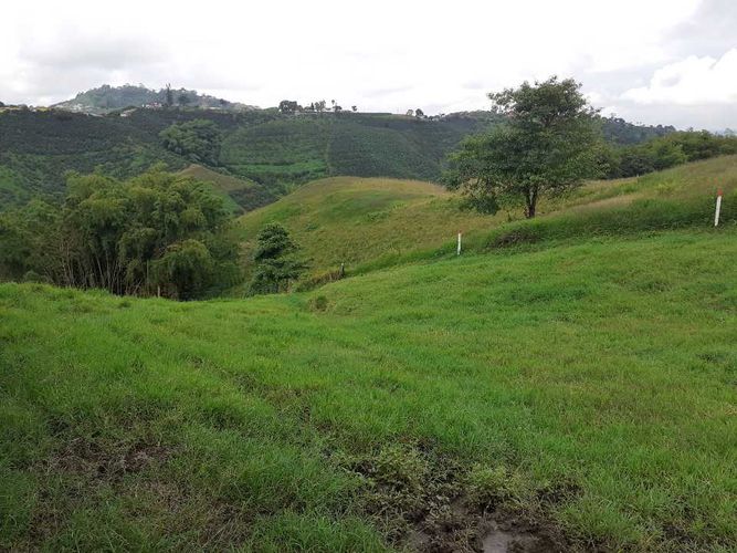 Finca en venta en Tribunas Corcega, Pereira, 500 m² · foto 17 de 24