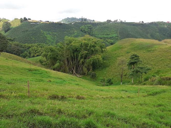 Finca en venta en Tribunas Corcega, Pereira, 500 m² · foto 19 de 24