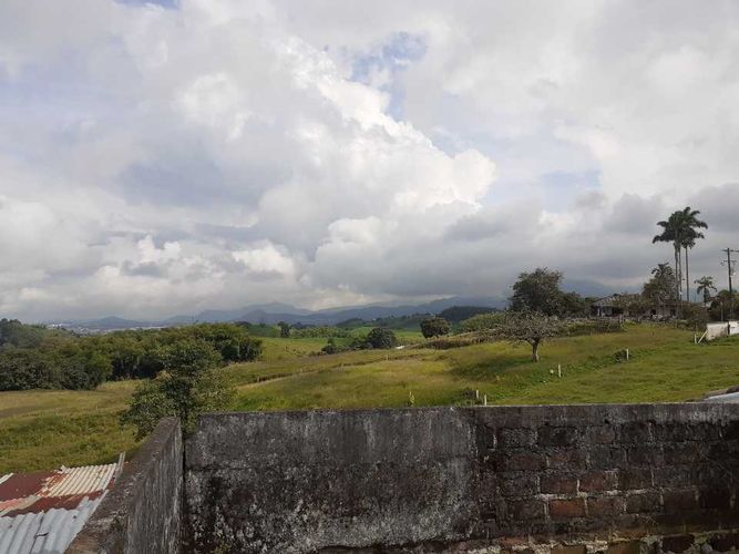 Finca en venta en Tribunas Corcega, Pereira, 500 m² · foto 21 de 24