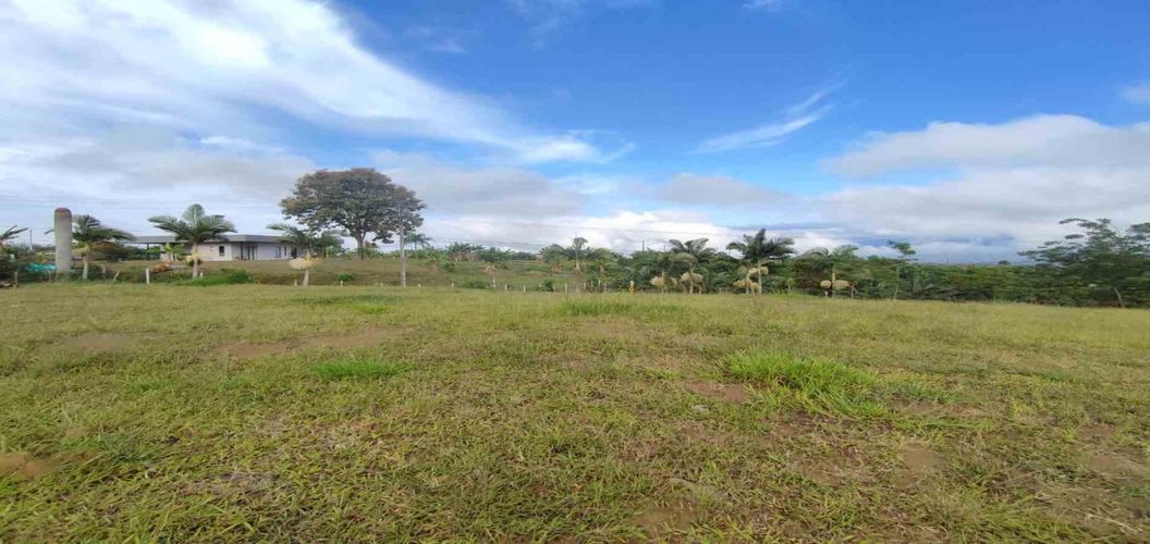 Lote en venta en Cerritos, Pereira · foto 2 de 14