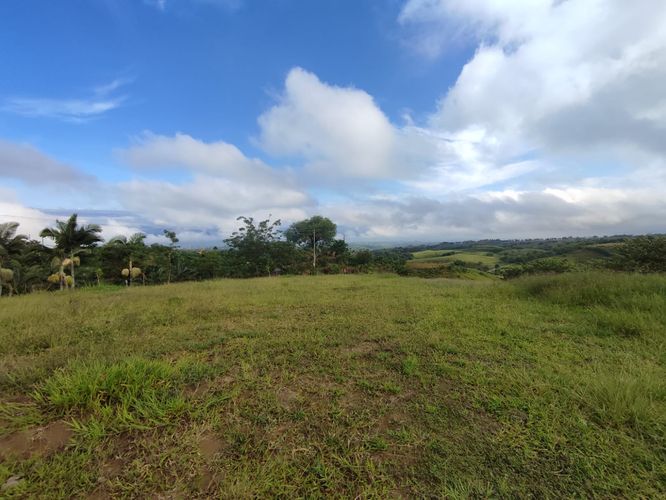 Lote en venta en Cerritos, Pereira · foto 4 de 14
