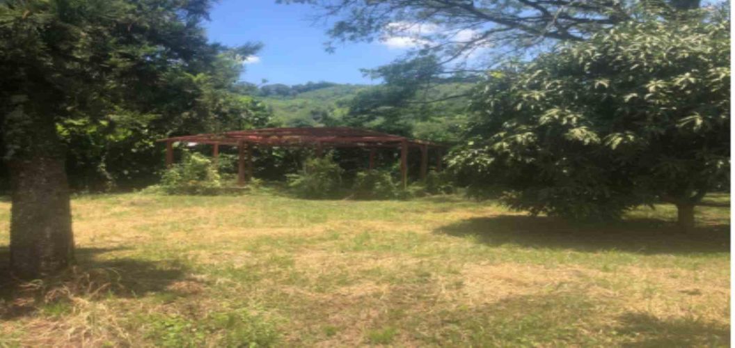 Lote en venta en La Cabaña, Manizales, 7342 m² · foto 4 de 9
