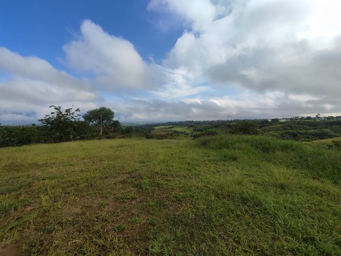 Lote en venta en Cerritos, Pereira · foto 5 de 14