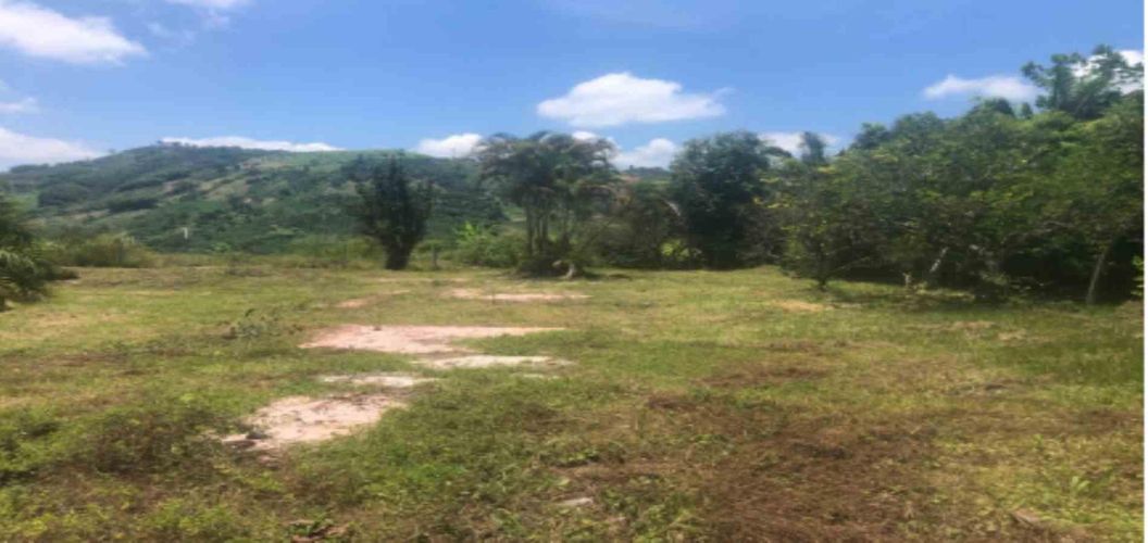 Lote en venta en La Cabaña, Manizales, 7342 m² · foto 5 de 9
