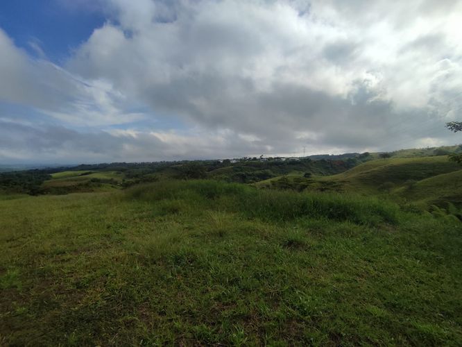 Lote en venta en Cerritos, Pereira · foto 6 de 14
