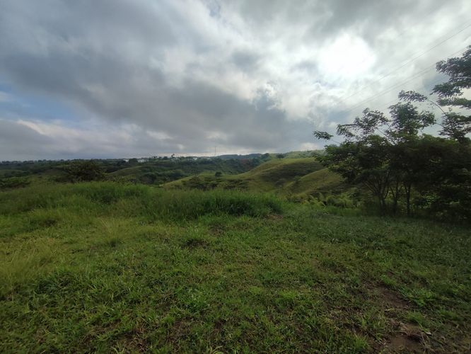 Lote en venta en Cerritos, Pereira · foto 7 de 14