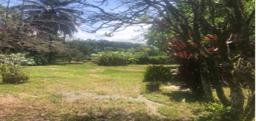 Lote en venta en La Cabaña, Manizales, 7342 m² · foto 7 de 9
