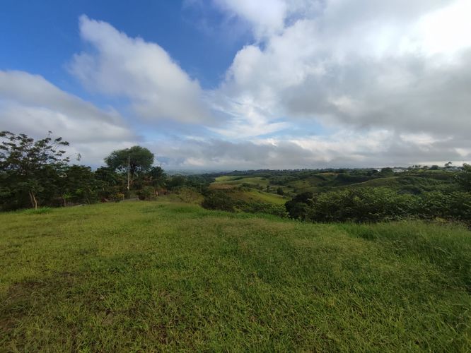 Lote en venta en Cerritos, Pereira · foto 8 de 14