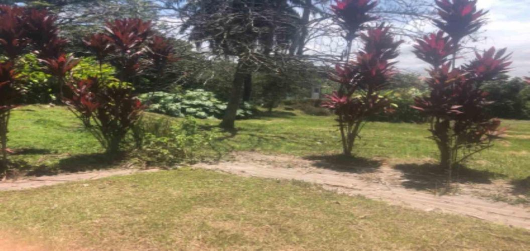 Lote en venta en La Cabaña, Manizales, 7342 m² · foto 8 de 9