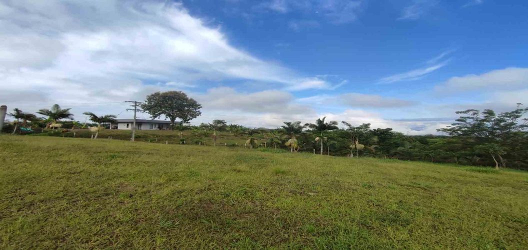 Lote en venta en Cerritos, Pereira · foto 11 de 14