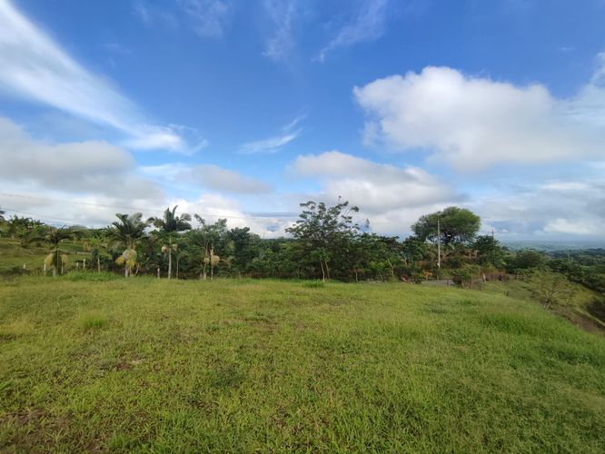 Lote en venta en Cerritos, Pereira · foto 12 de 14