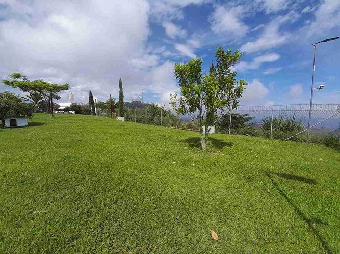 Finca en venta en Lleras, Manizales, 1040 m² · foto 10 de 24