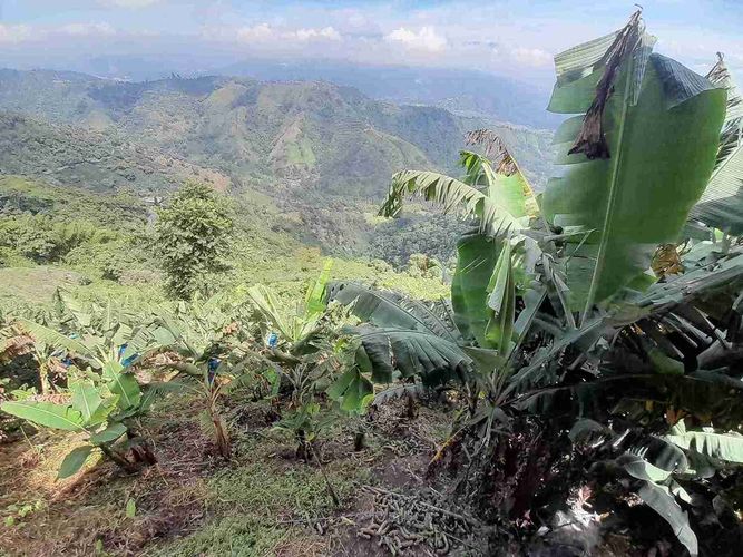Finca en venta en Lleras, Manizales, 1040 m² · foto 19 de 24