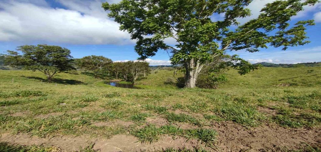 Lote en venta en Cerritos, Pereira · foto 2 de 24