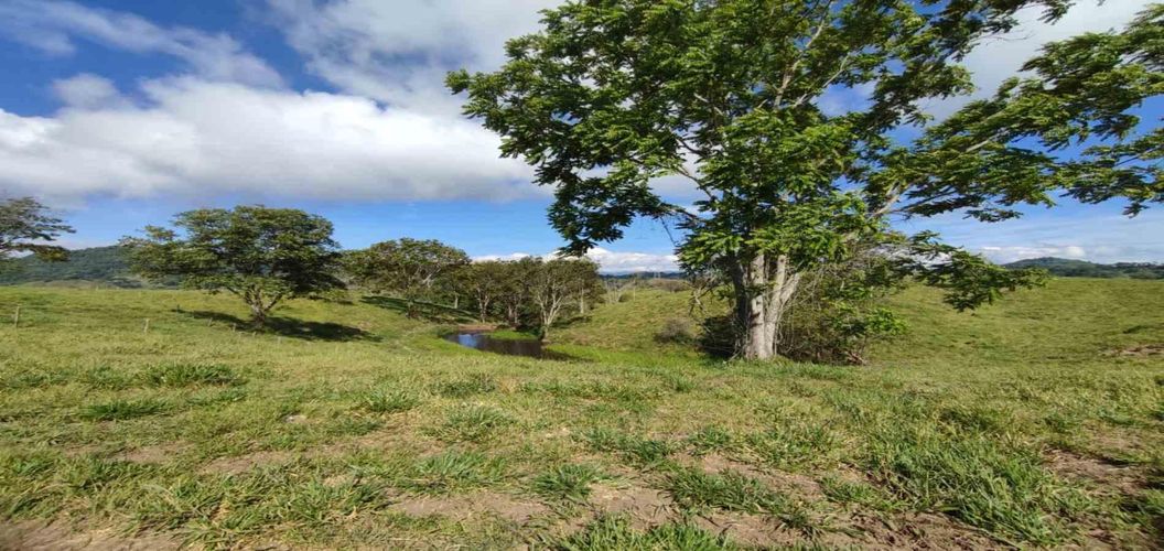 Lote en venta en Cerritos, Pereira · foto 3 de 24
