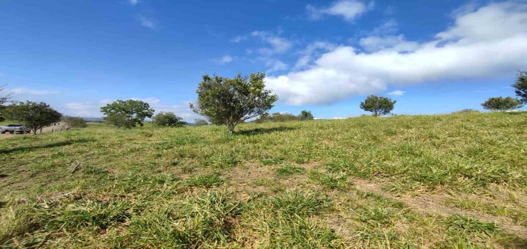 Lote en venta en Cerritos, Pereira · foto 4 de 24