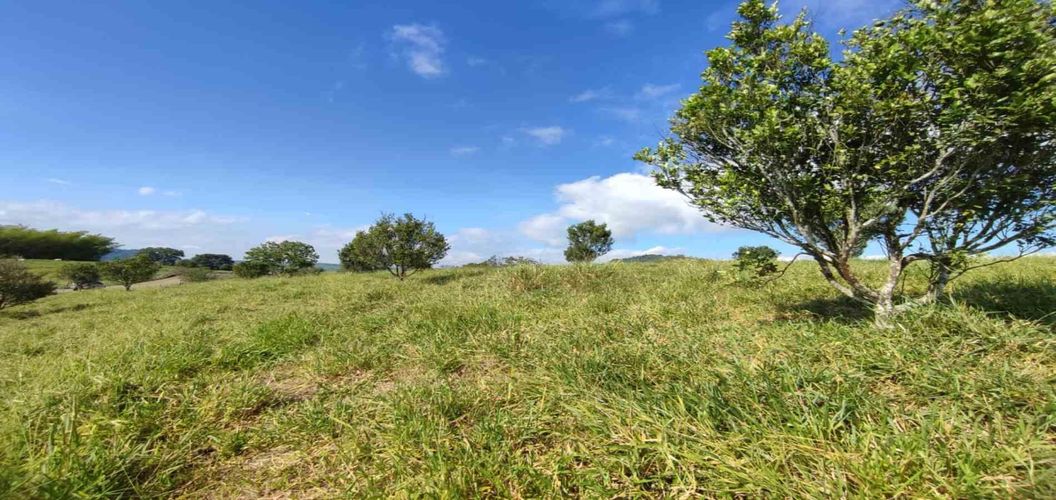 Lote en venta en Cerritos, Pereira · foto 7 de 24