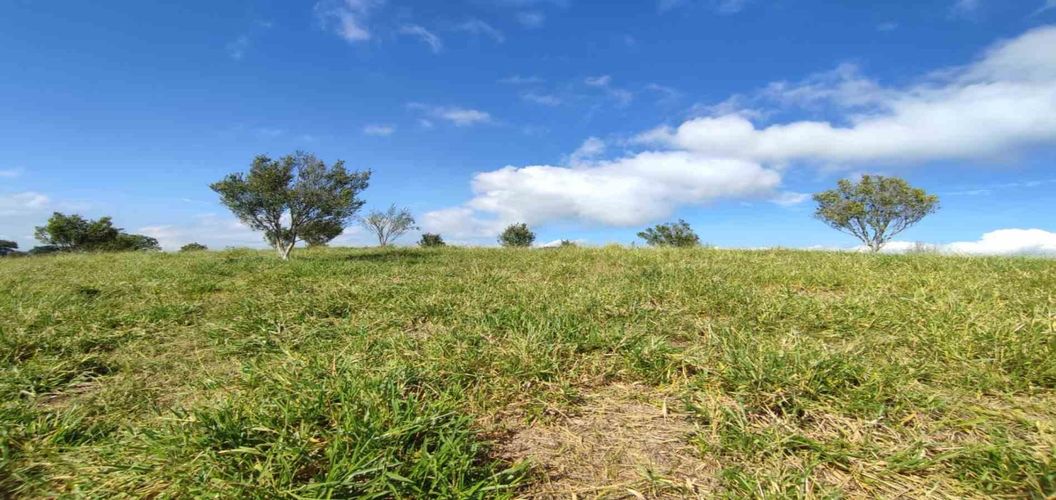 Lote en venta en Cerritos, Pereira · foto 8 de 24