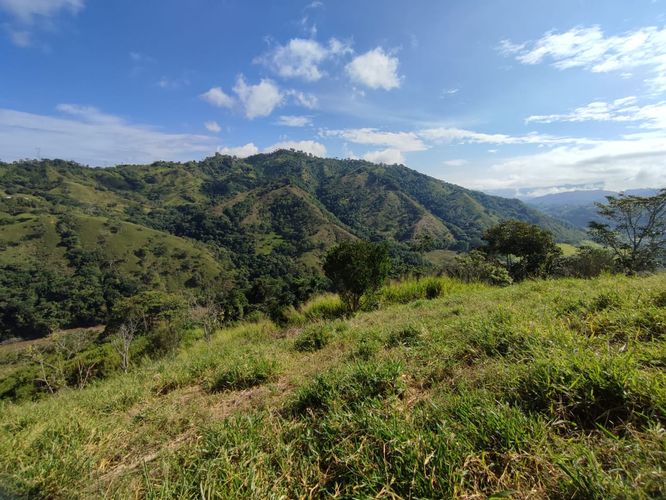 Lote en venta en Cerritos, Pereira · foto 15 de 24