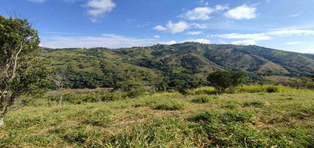 Lote en venta en Cerritos, Pereira · foto 16 de 24