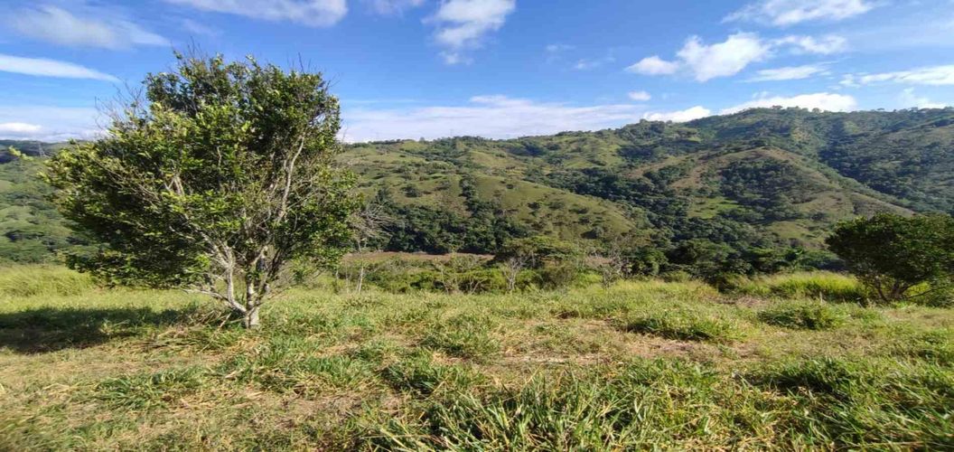 Lote en venta en Cerritos, Pereira · foto 17 de 24