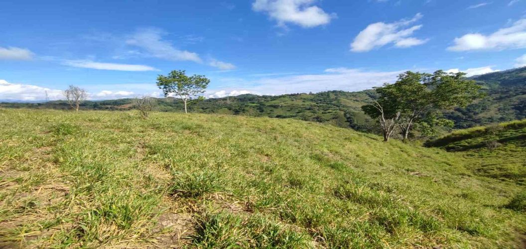 Lote en venta en Cerritos, Pereira · foto 18 de 24